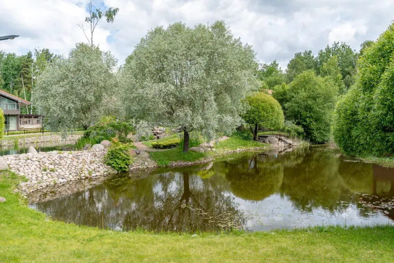 Галерея изображение 16